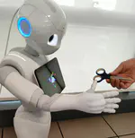 Combining VLM and LLM for Enhanced Semantic Object Perception in Robotic Handover Tasks